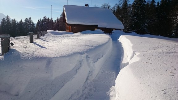 Hintergrund_Winter.jpg 